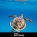 Una tortuga marina nadando bajo el agua